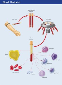 Blood Illustrated: Separation and Components