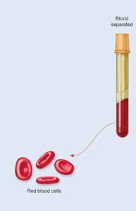 Red blood cells separated from blood
