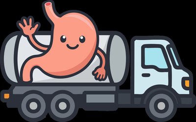 Stomach in a truck