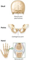 Three Types of Joints
