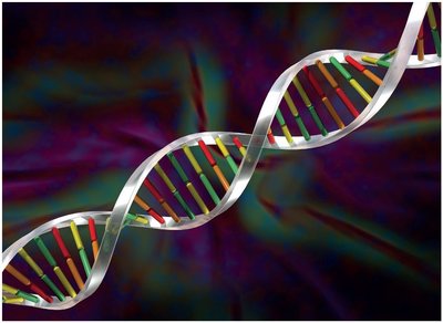 DNA double helix structure