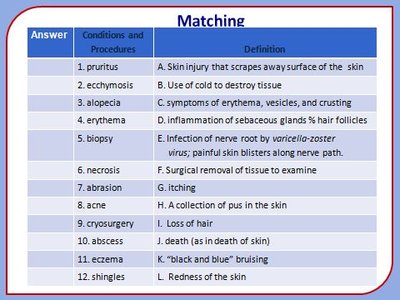 Matching exercise for integumentary system terms
