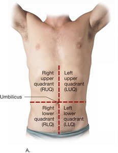 Abdominal quadrants
