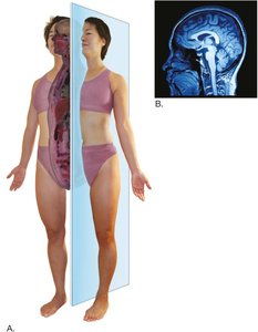 Sagittal plane and MRI scan