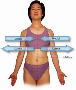 Medial and lateral directions