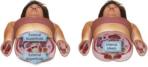 External and internal directions