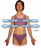 Medial and lateral directions