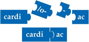 Puzzle pieces showing the assembly of cardiac