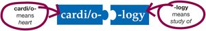 Annotated puzzle pieces: cardi/o- means heart, -logy means study of