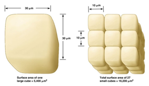 Comparison of surface area in large vs. small cubes