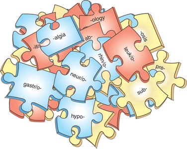 Puzzle pieces showing common medical word parts