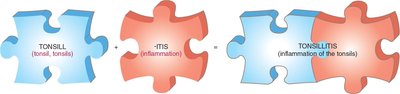 Puzzle pieces showing the construction of the term tonsillitis