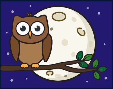 Owl at night for noct/o