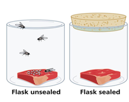 Redi's experiment with sealed and unsealed jars