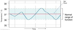 Graph showing homeostasis and set point