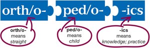 Word breakdown of orthopedics: orth/o (straight), ped/o (child), -ics (knowledge; practice)