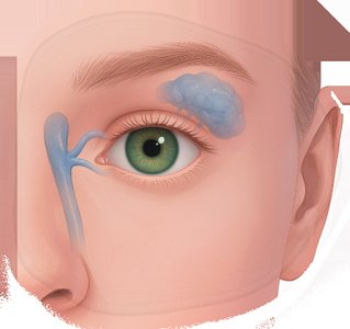 Closed eyelid