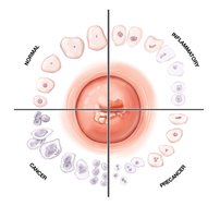 Pap smear and cervical cell changes
