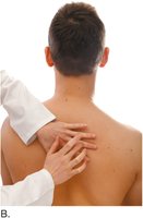 Percussion of the chest