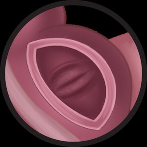 Ileocecal sphincter