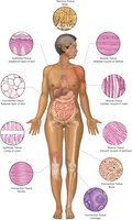 Types of tissues and their locations in the body
