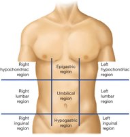 Nine anatomical regions of the abdomen