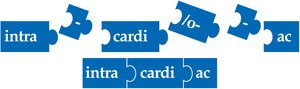 Building medical words: pertaining to within the heart (prefix)