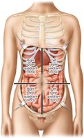 Four quadrants of the abdomen