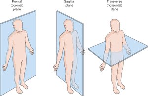 Diagram of frontal, sagittal, and transverse planes