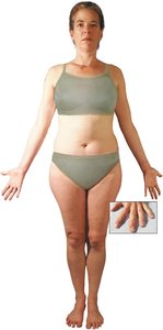 Full body view showing the extent of the integumentary system