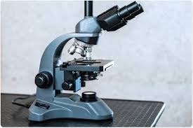 Microscope