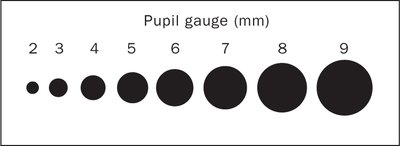 Pupil Gauge