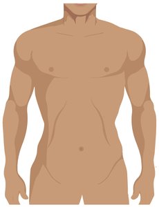 Diagram showing abdominopelvic regions