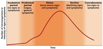Stages of infectious disease