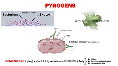 Opsonization, inflammation, and membrane attack complex