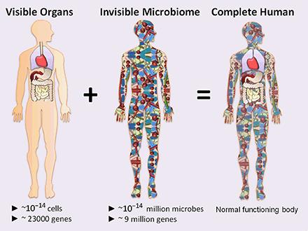 Human microbiome illustration