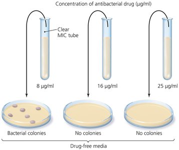 MBC test for bactericidal concentration