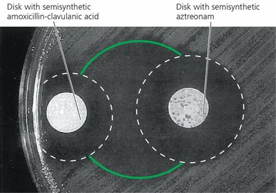 Synergism between two antimicrobial agents