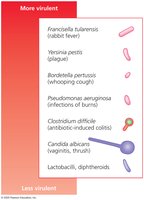 Relative virulence of selected microbial pathogens
