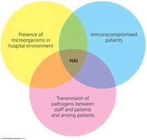 Venn diagram of factors leading to healthcare-associated infections