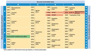 The genetic code table