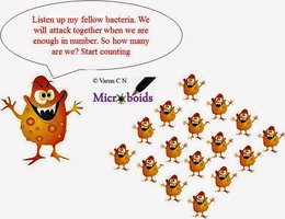 Quorum sensing cartoon