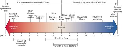 pH scale showing the growth ranges of acidophilic, neutrophilic, and alkaliphilic bacteria