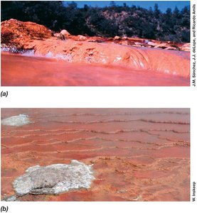 Iron-oxidizer microbial mats in Rio Tinto and Yellowstone