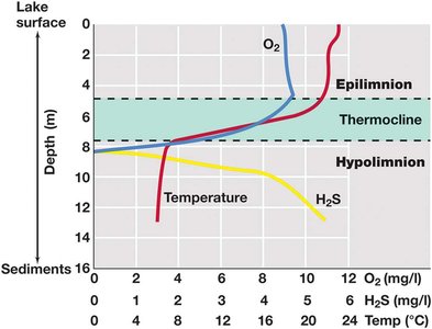 Profiles of O2, H2S, and temperature with lake depth