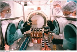 Example of cell culture