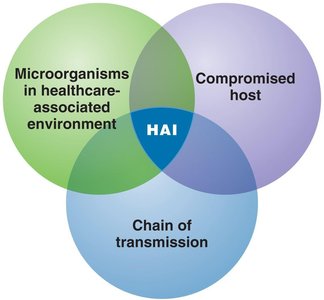 Venn diagram of nosocomial infection factors