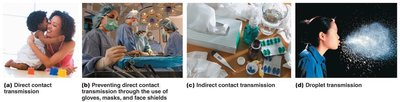 Contact transmission: direct, indirect, droplet
