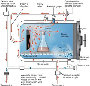 Diagram of an autoclave