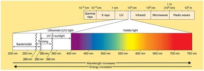 Electromagnetic spectrum highlighting UV and ionizing radiation